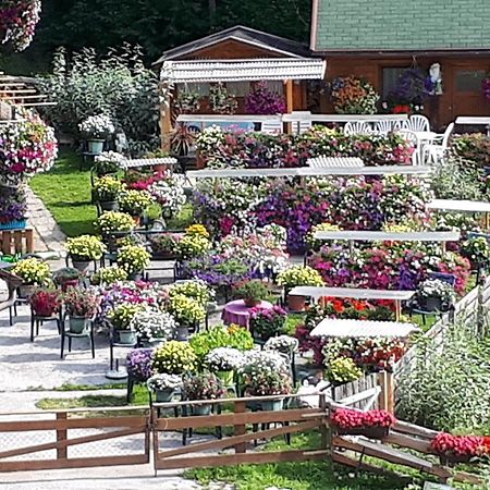 Appartement Planaiblick Schladming Eksteriør billede
