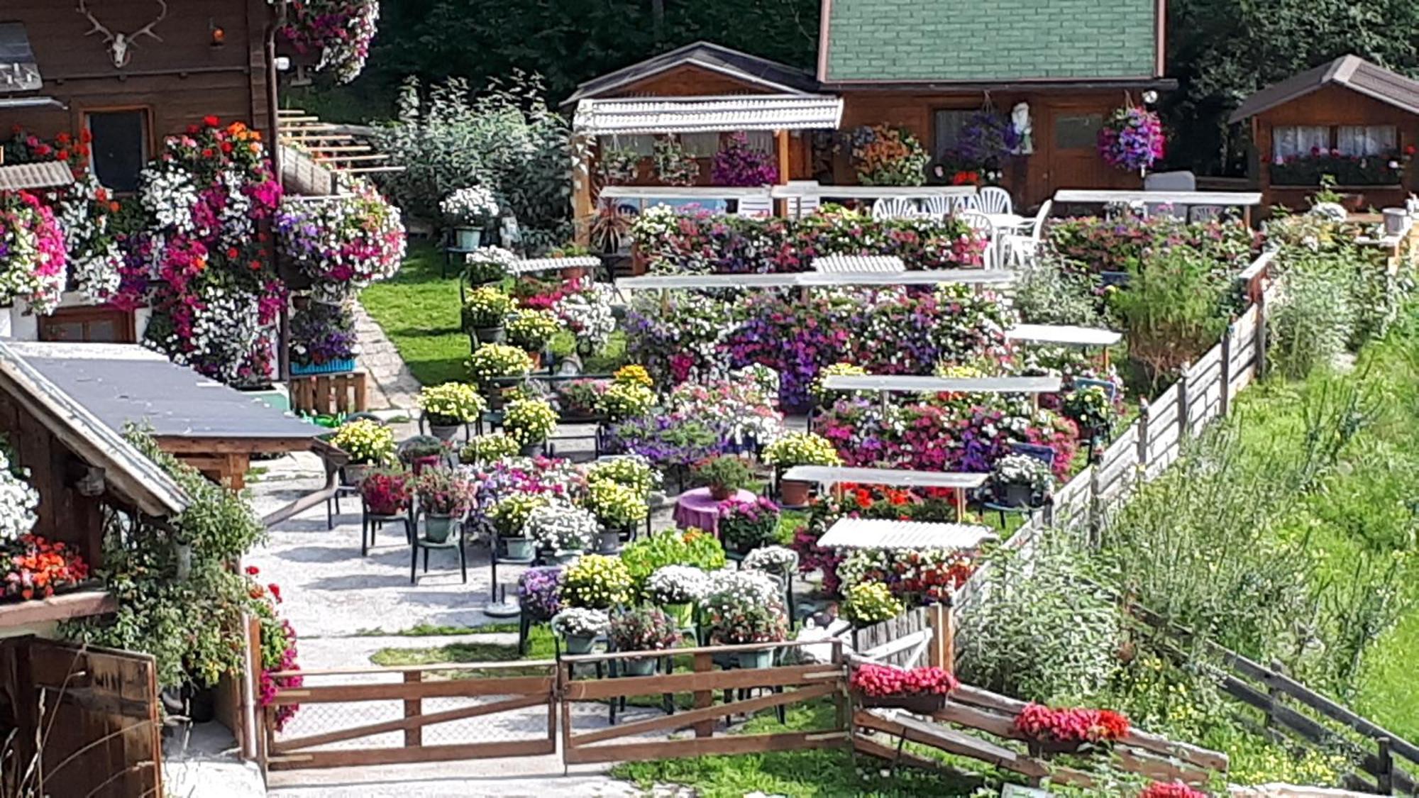 Appartement Planaiblick Schladming Eksteriør billede